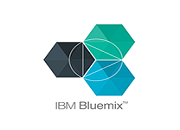 Bluemix Services